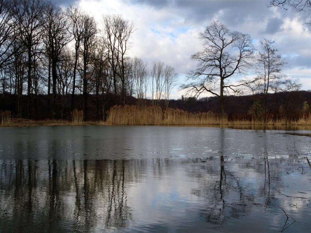 Landpension Wachtkopf Файинген-ан-дер-Энц Экстерьер фото