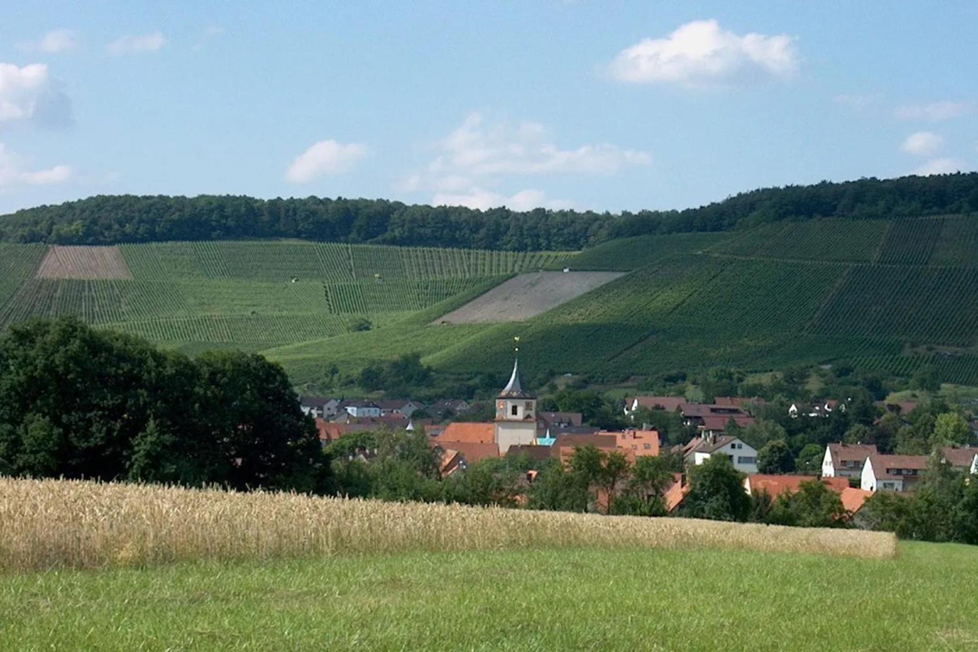 Landpension Wachtkopf Файинген-ан-дер-Энц Экстерьер фото